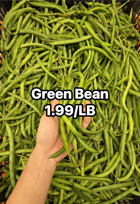 Green Bean (LB) (Promo)