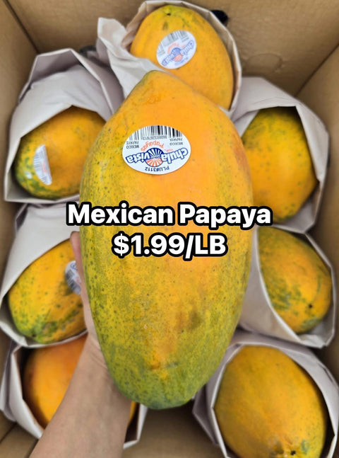 Papaya /LB (Promo)