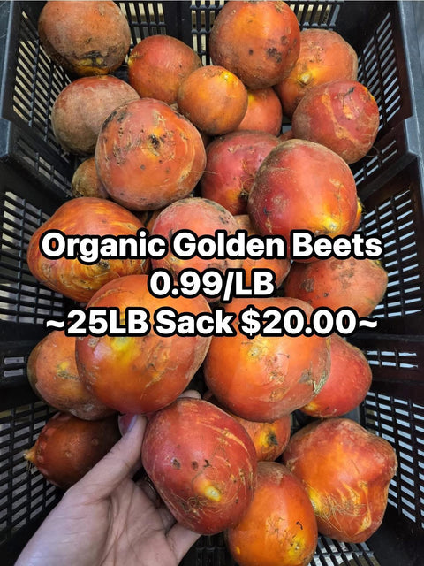 Organic Golden Beets (Promo)(LB)