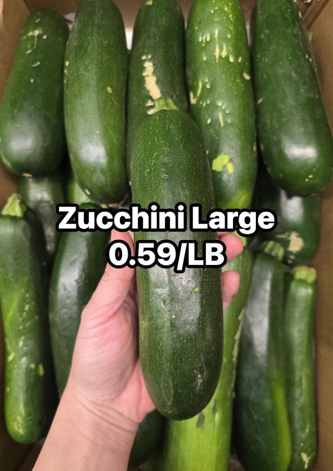 Zucchini Large  (PROMO) (LB)