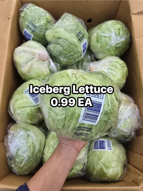 Iceberg Lettuce (Clearance)