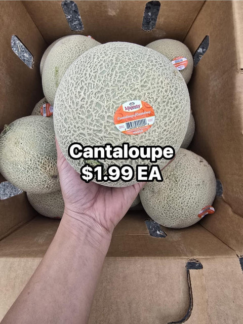 Cantaloupe (PROMO) (EA)