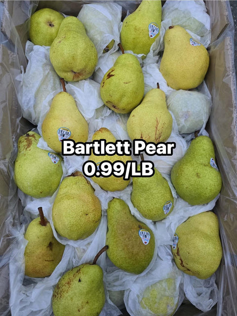 Bartlett Pear (Promo)(LB)