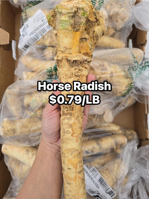 Horse Radish (PROMO) (LB)