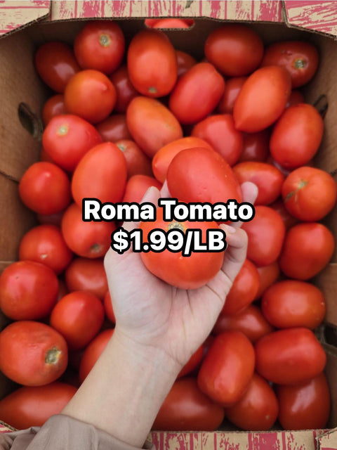 Tomato Roma (Promo)