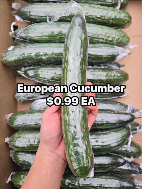 European Cucumber (Promo)