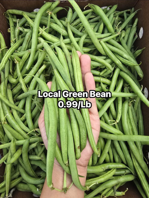 Green Bean (Local) (Promo)