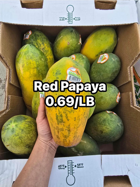 Papaya /LB (Promo)