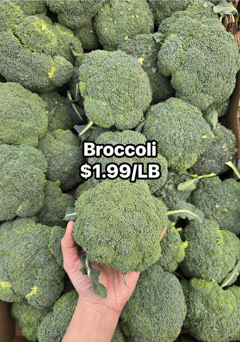 Broccoli PROMO (LB)