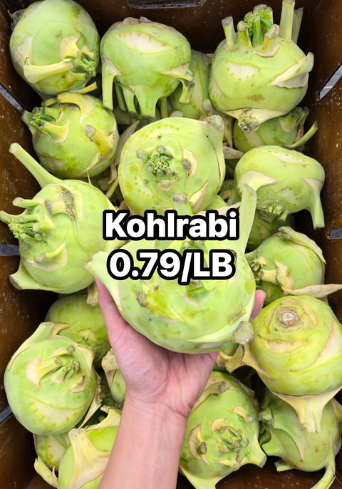 Kohlrabi (PROMO) (LB)