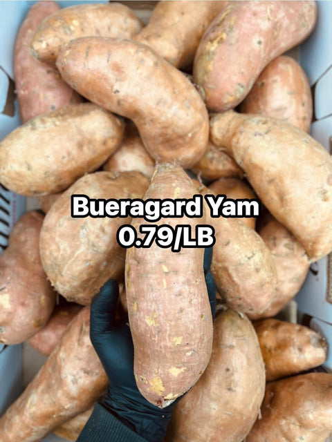 Bueragard Yam (PROMO) (LB)