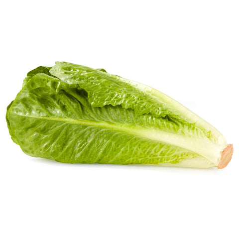 Lettuce Romaine 24s Full Case (Premium Quality)