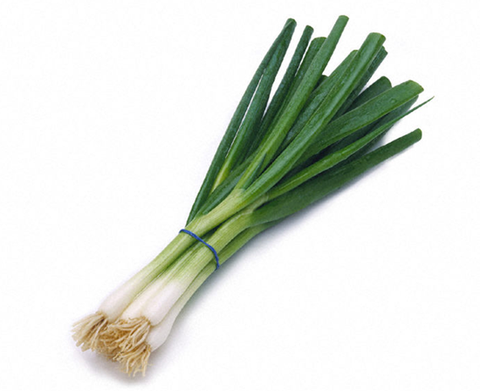 Green Onion 48s Full Case (Premium Quality) - Producecart