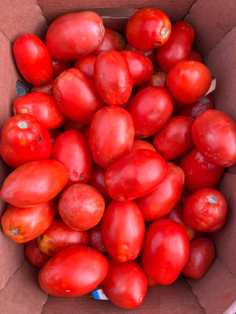 Tomato Roma (Clearance)