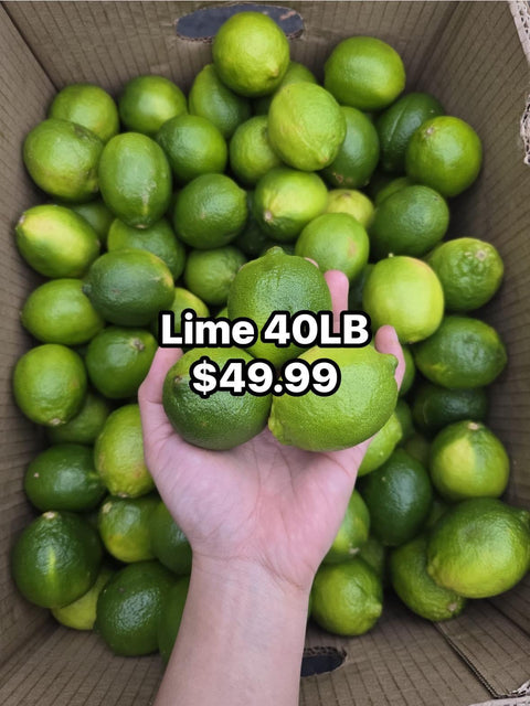 Lime Case 40LB (PROMO)