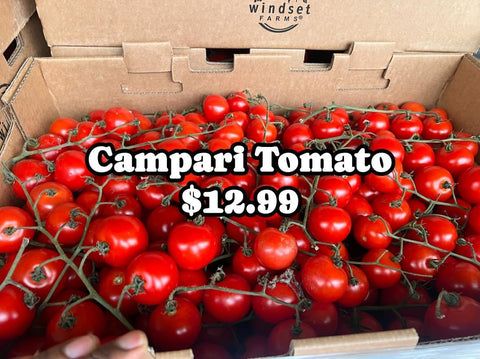 Campari 16LB (PROMO)