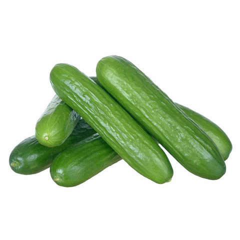 Cucumber Mini (LB) (No.1 Grade) - Producecart