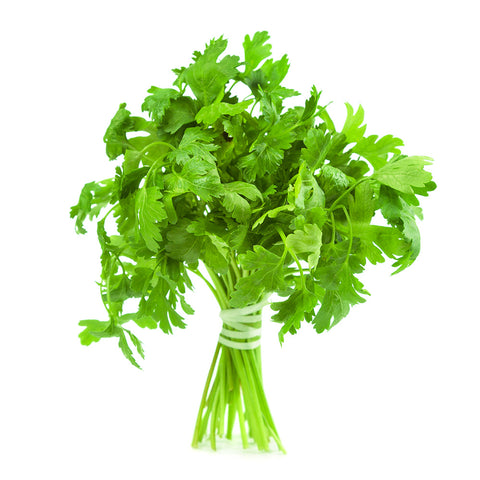 Parsley Italian