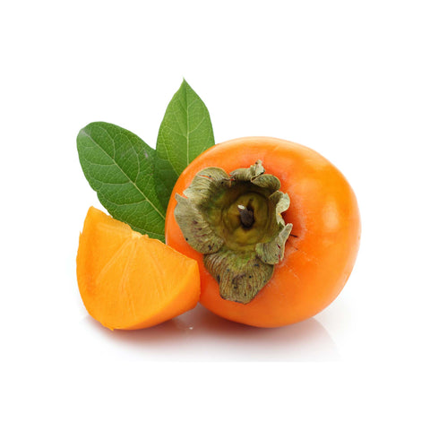 Persimmon (LB)