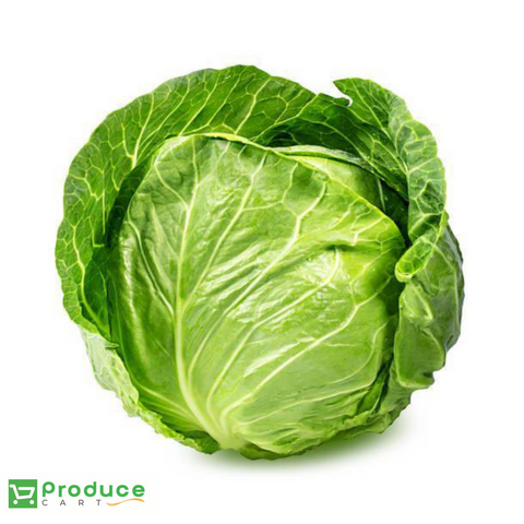 Cabbage USA (SOFT) freeshipping - producecartbc