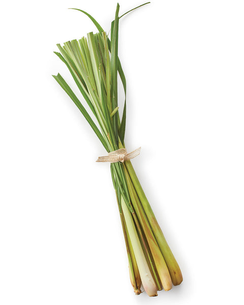 Lemon Grass (LB)