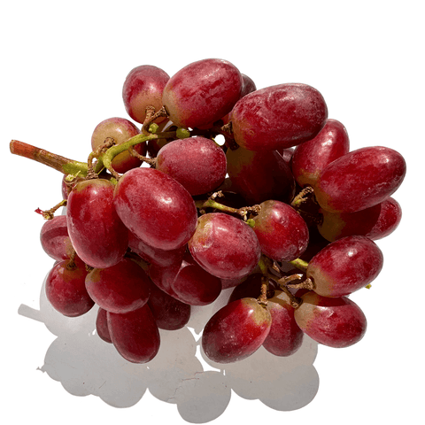 Grape Red (LB)(No.1 Grade) - Producecart