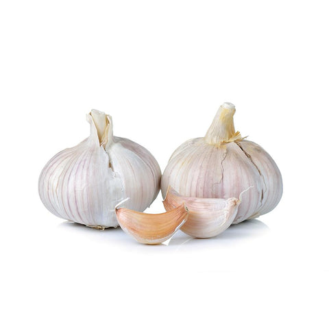 Garlic (China)