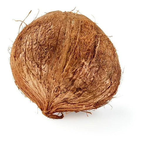 Coconut (EA) (No.1 Grade) - Producecart