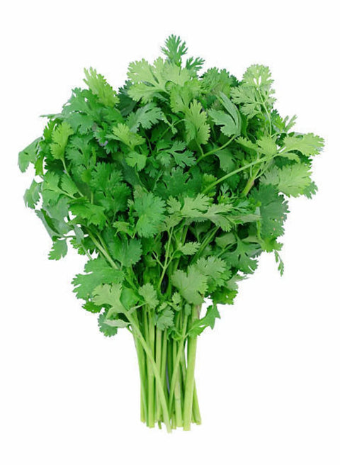 Cilantro 60s Full Case (Premium Quality) - Producecart