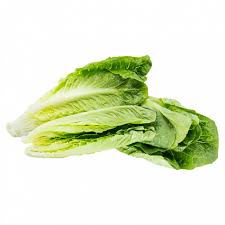 Lettuce Romaine Heart (3 pack)