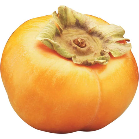 Persimmon (LB) (No.1 Grade) - Producecart