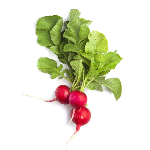 Radish 48s Full Case (Premium Quality) - Producecart