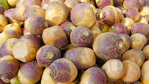 Turnip Rutabaga