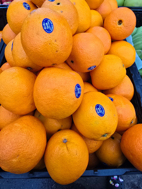 Cara Cara Navel Orange