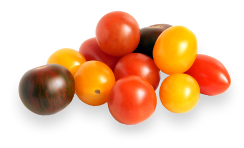 Medley Tomato PROMO (1.5 LB)