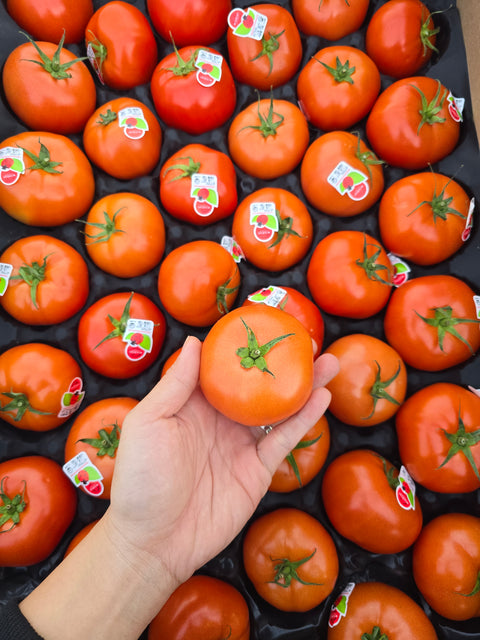 Beefsteak Tomato (LB)