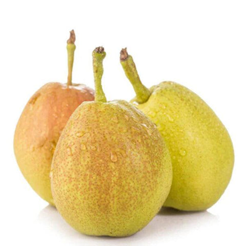 Pear Fragrant (LB) (No.1 Grade) - Producecart