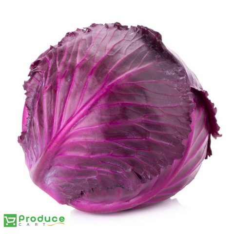 Cabbage Red freeshipping - producecartbc