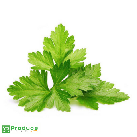 Cilantro freeshipping - producecartbc